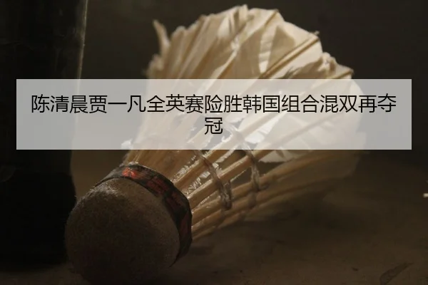陈清晨贾一凡全英赛险胜韩国组合混双再夺冠