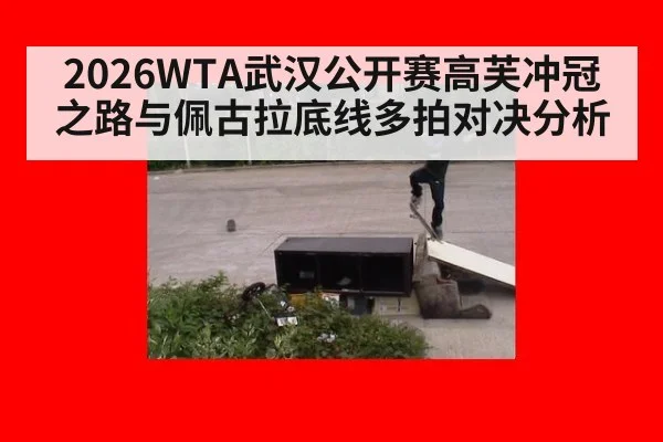 2026WTA武汉公开赛高芙冲冠之路与佩古拉底线多拍对决分析